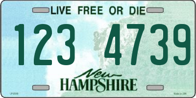 NH license plate 1234739