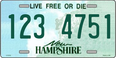 NH license plate 1234751