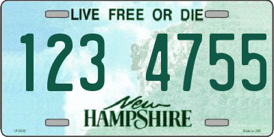 NH license plate 1234755