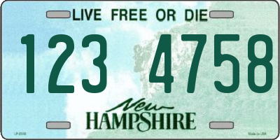 NH license plate 1234758