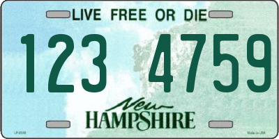 NH license plate 1234759