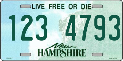 NH license plate 1234793