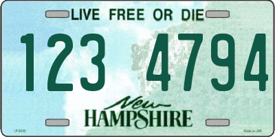 NH license plate 1234794