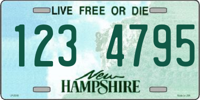 NH license plate 1234795