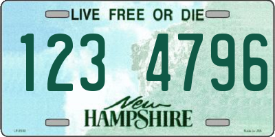 NH license plate 1234796