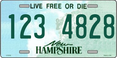 NH license plate 1234828