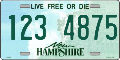 NH license plate 1234875