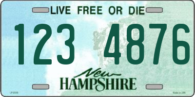 NH license plate 1234876