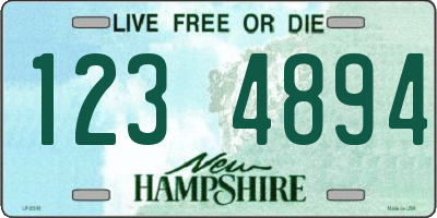 NH license plate 1234894