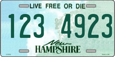 NH license plate 1234923