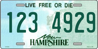NH license plate 1234929