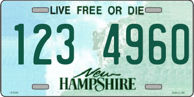 NH license plate 1234960