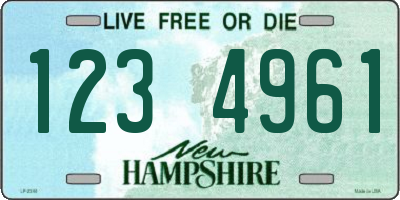NH license plate 1234961