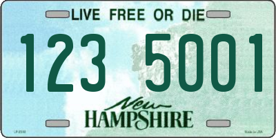 NH license plate 1235001