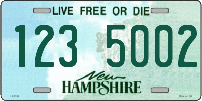 NH license plate 1235002