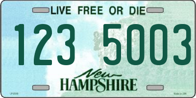 NH license plate 1235003