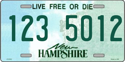 NH license plate 1235012