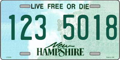 NH license plate 1235018
