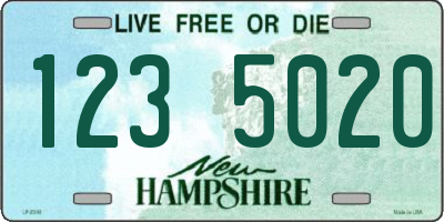 NH license plate 1235020
