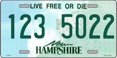NH license plate 1235022