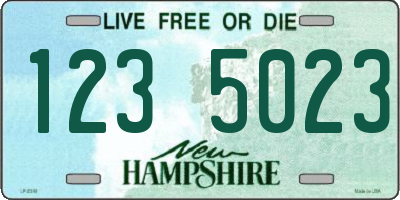 NH license plate 1235023