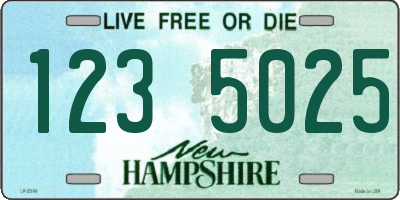 NH license plate 1235025