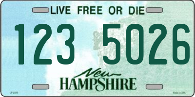 NH license plate 1235026