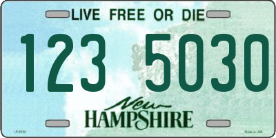 NH license plate 1235030