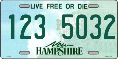 NH license plate 1235032