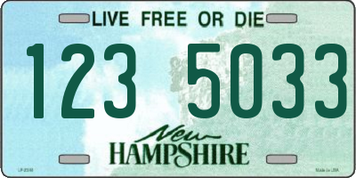 NH license plate 1235033