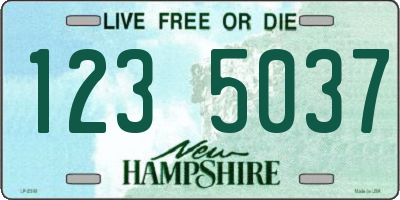 NH license plate 1235037