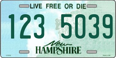 NH license plate 1235039