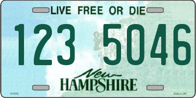 NH license plate 1235046