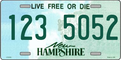 NH license plate 1235052
