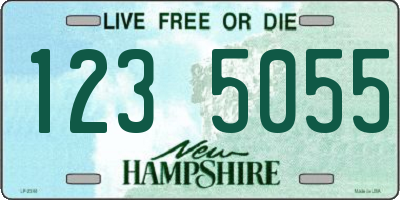NH license plate 1235055