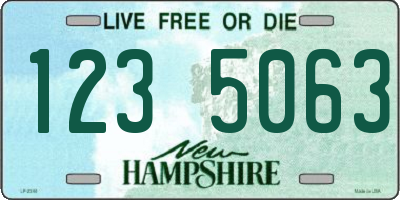 NH license plate 1235063