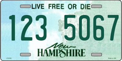 NH license plate 1235067