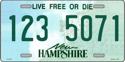 NH license plate 1235071