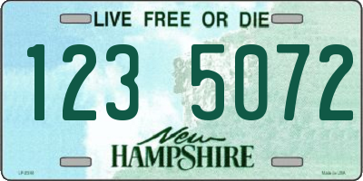 NH license plate 1235072