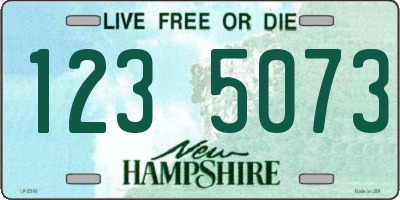 NH license plate 1235073