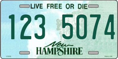NH license plate 1235074