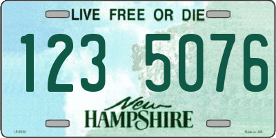 NH license plate 1235076