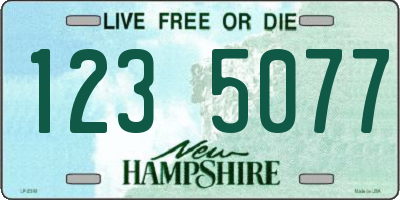 NH license plate 1235077