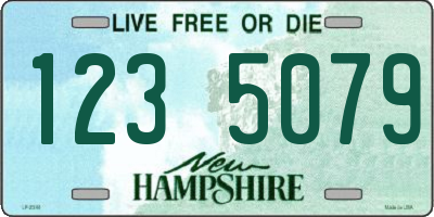 NH license plate 1235079