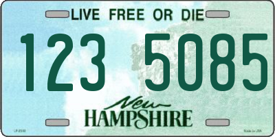 NH license plate 1235085
