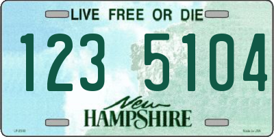 NH license plate 1235104