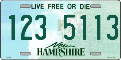 NH license plate 1235113