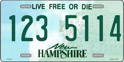 NH license plate 1235114
