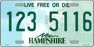 NH license plate 1235116