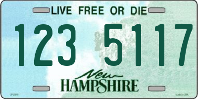 NH license plate 1235117